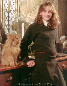 Hermiona oveeeeeeeľa staršia
